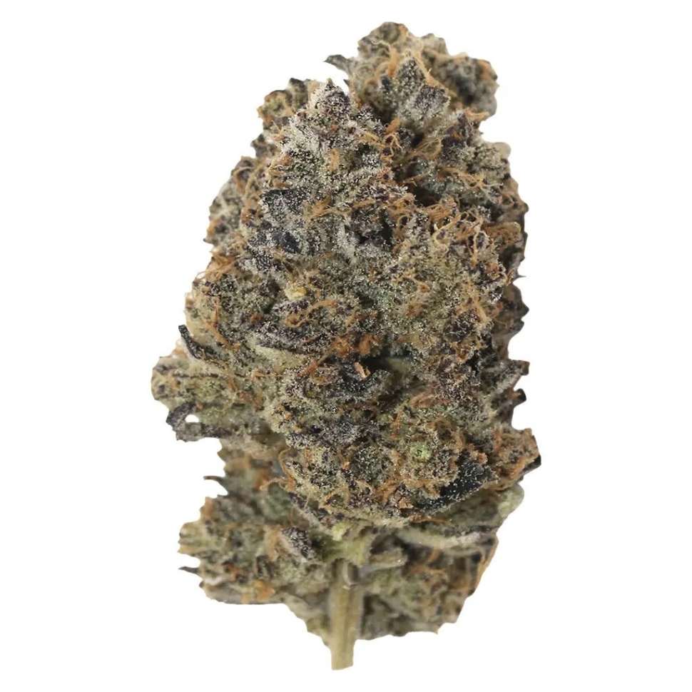 Violet Kush AAAA