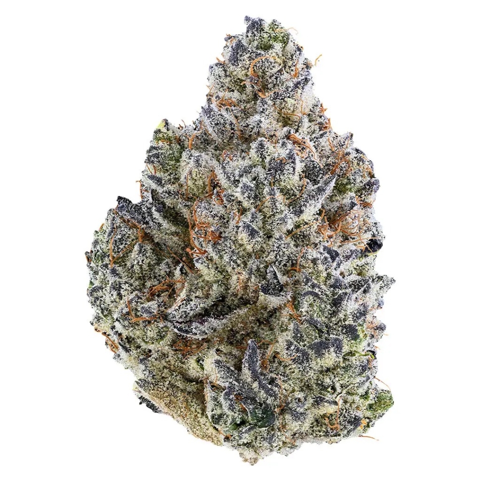 Purple Urkel Bc Exotic 5A