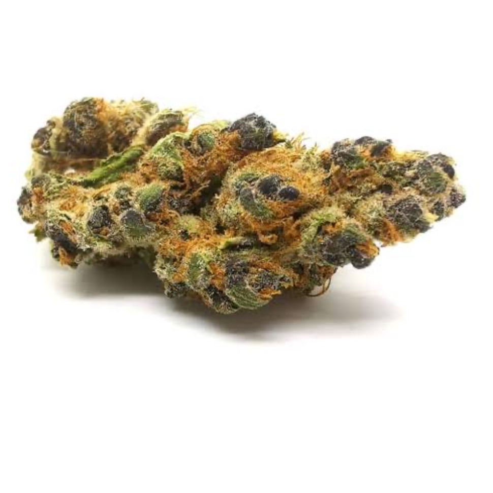 Tangie Dream Kush 3A