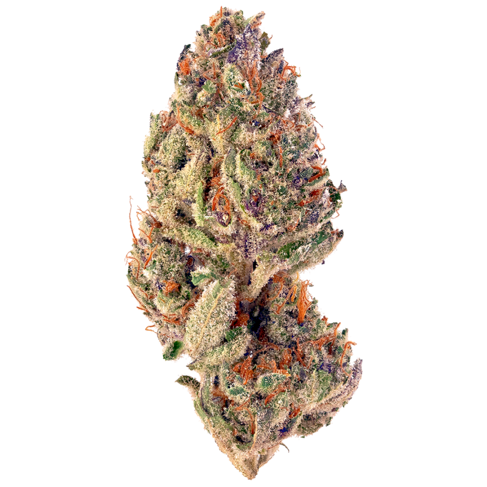 tropicana cookies