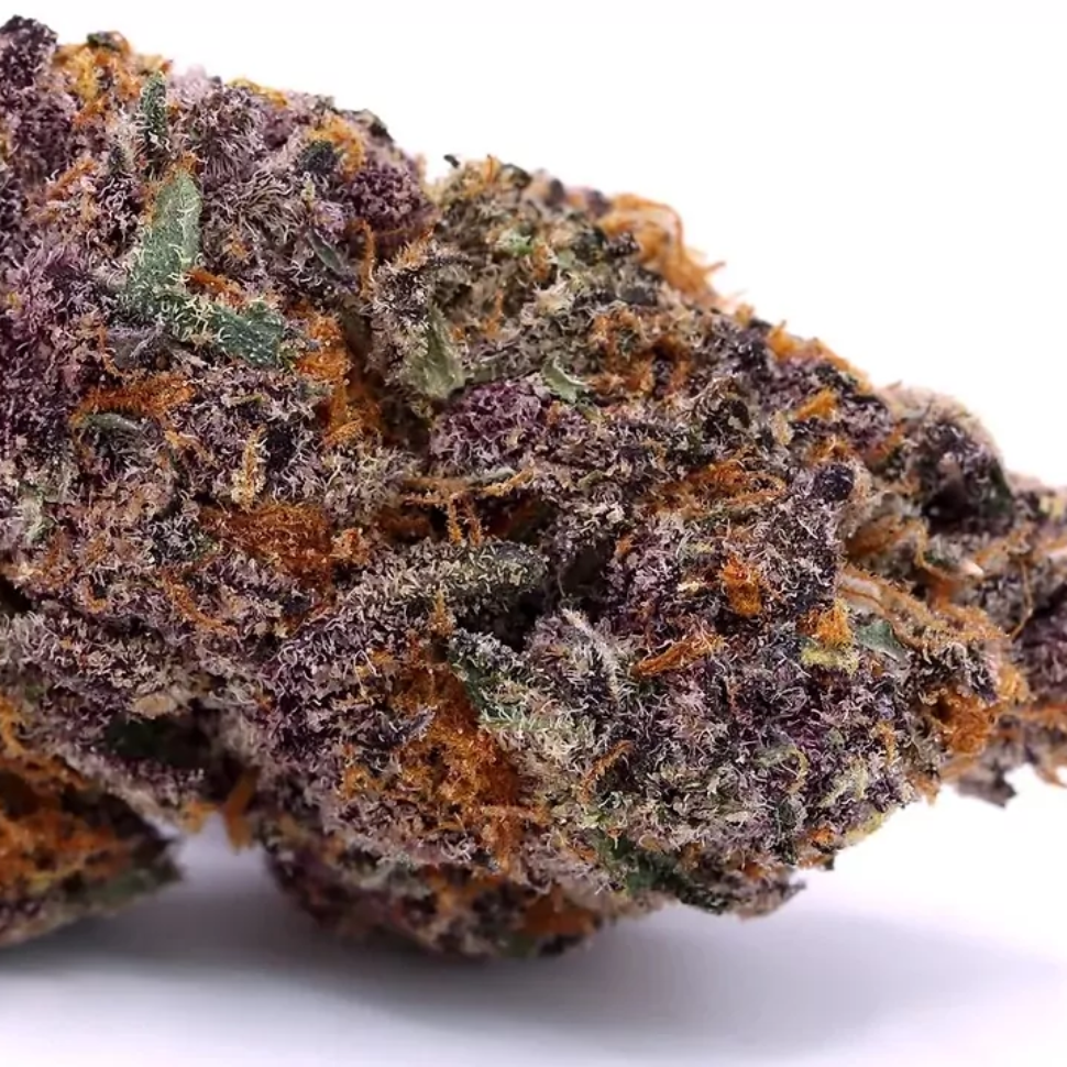 Colorado-Nightshifter-strain-2