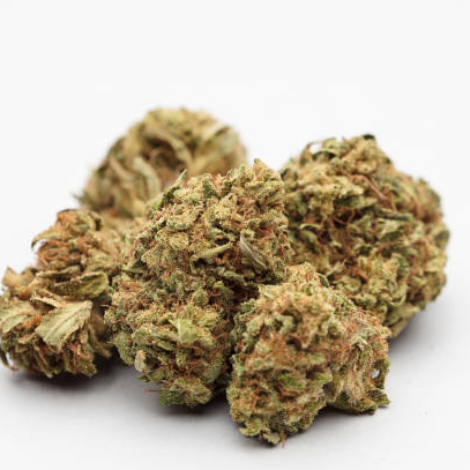 marijuana buds with space for text, white background