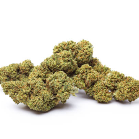 Marijuana flowers isolated on white background. Cannabis plants close up.