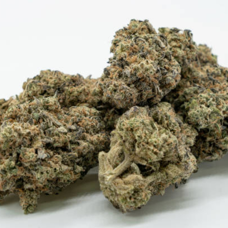 Cannabis Flower photographed on white background