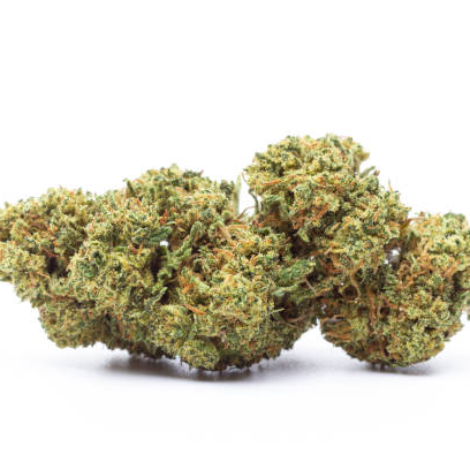Cannabis flower isolated on white background. Marijuana plant close up.