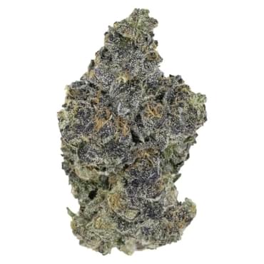 Blackout Bobby 5A