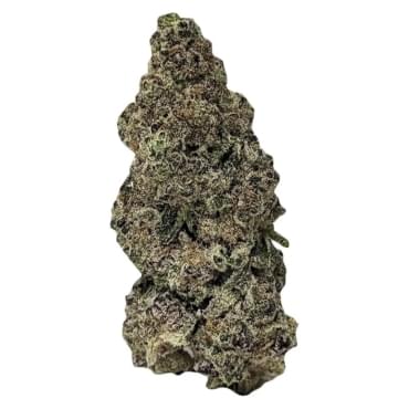 Amnesia Haze 5A (Rocking)