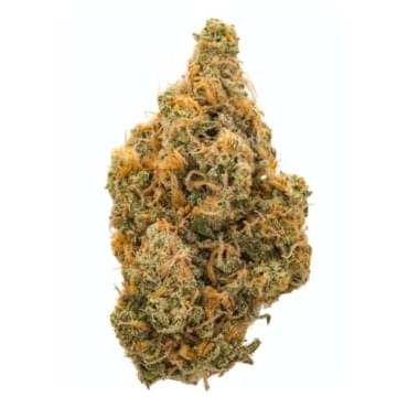 Northern lights 4A