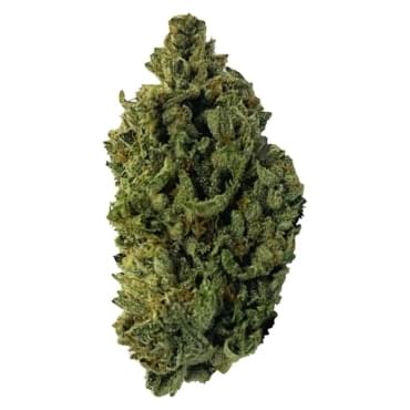 Jack Herer 3A