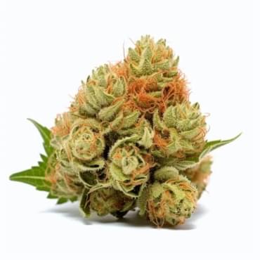 Strawberry Cough AAAA