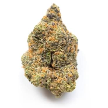 Violator Kush 4A