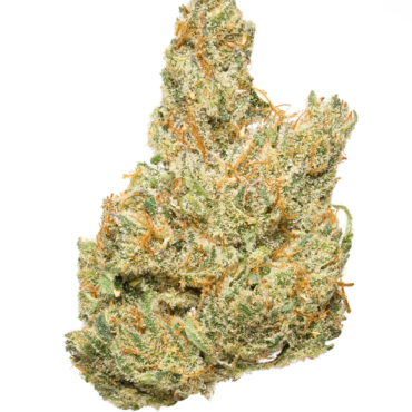 Cobbler CBD