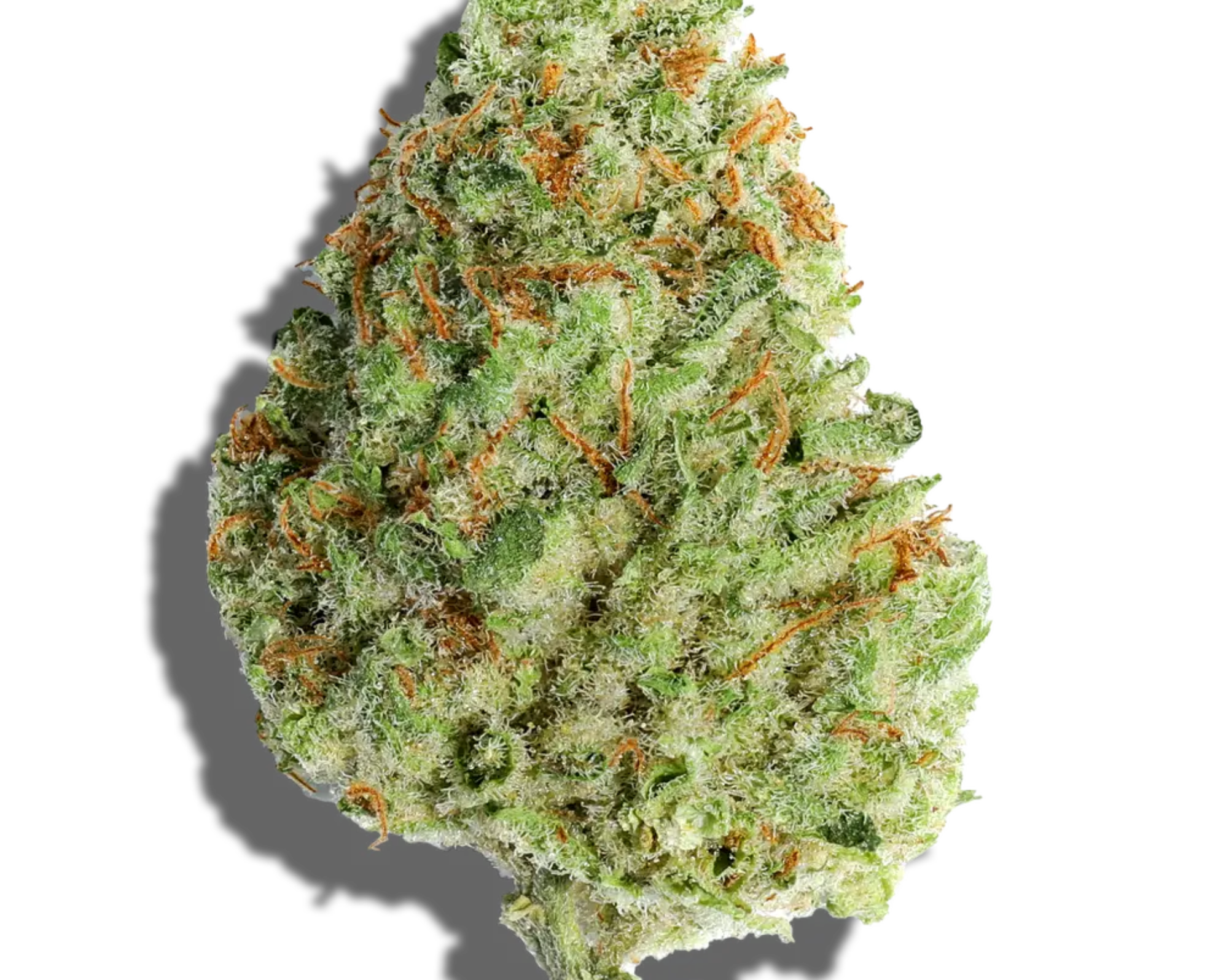 Planet-of-the-Grapes-PG-FL-3.5G-P-536BAG_01